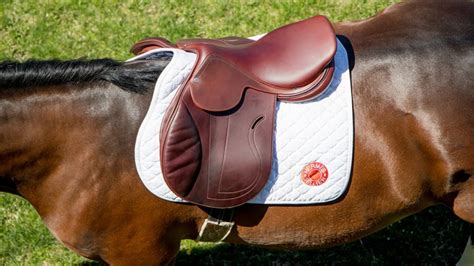 hermes paarden dekje|diy Hermes horse saddle.